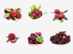 創(chuàng)意無限 卡通實(shí)物楊梅水果店海報(bào)PNG素材模板全攻略