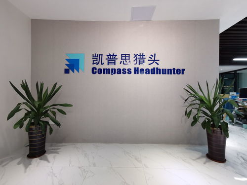 廣東凱普思企業管理咨詢 賦能企業，驅動卓越成長